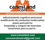 canesLand.com